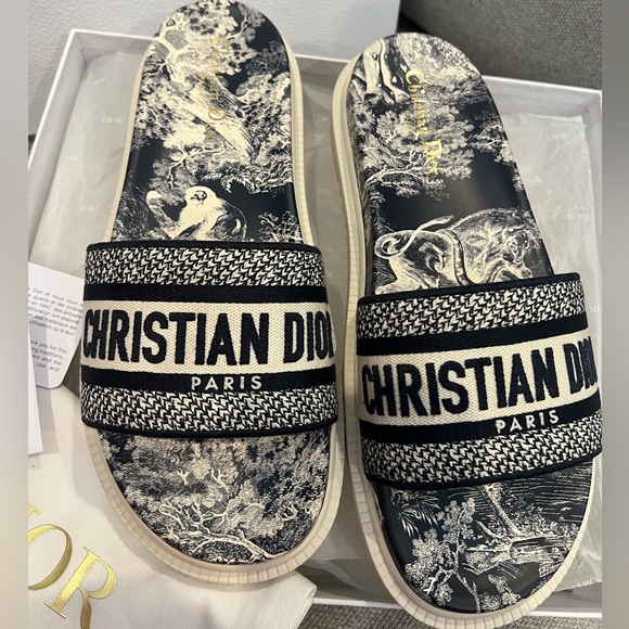 Price Firm NEW Christian Dior DWAY Blue Toile de Jouy Slide Sandals - Picture 2 of 15